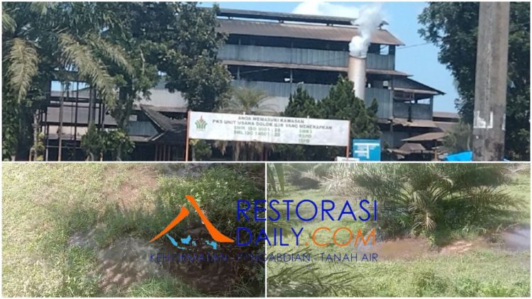 Limbah Pabrik Kelapa Sawit Dolok Ilir Diduga Mengalir ke Sungai