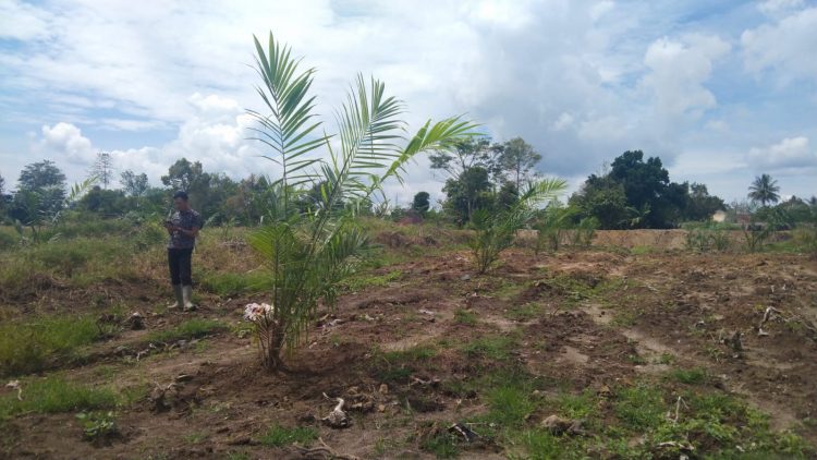 Bupati Simalungun Perintahkan Kepala Dinas Lingkungan Hidup Panggil Pimpinan Kebun Bah Butong