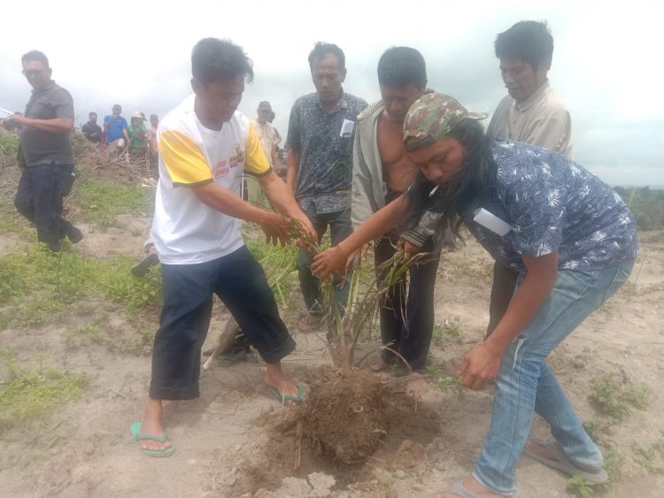 Diawali Doa Bersama, Masyarakat Sidamanik beserta Tokoh Lintas Gereja Cabut Tanaman Sawit Kebun Bah Butong